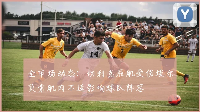 全市场动态：切利克屈肌受伤埃尔莫索肌肉不适影响球队阵容